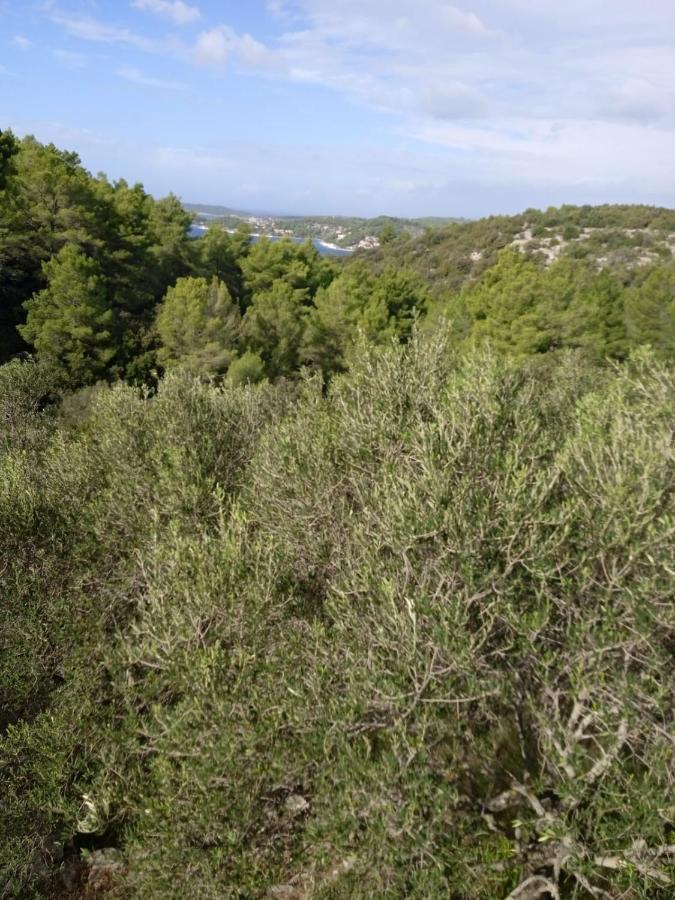 Svema Apartman Vela Luka Kültér fotó